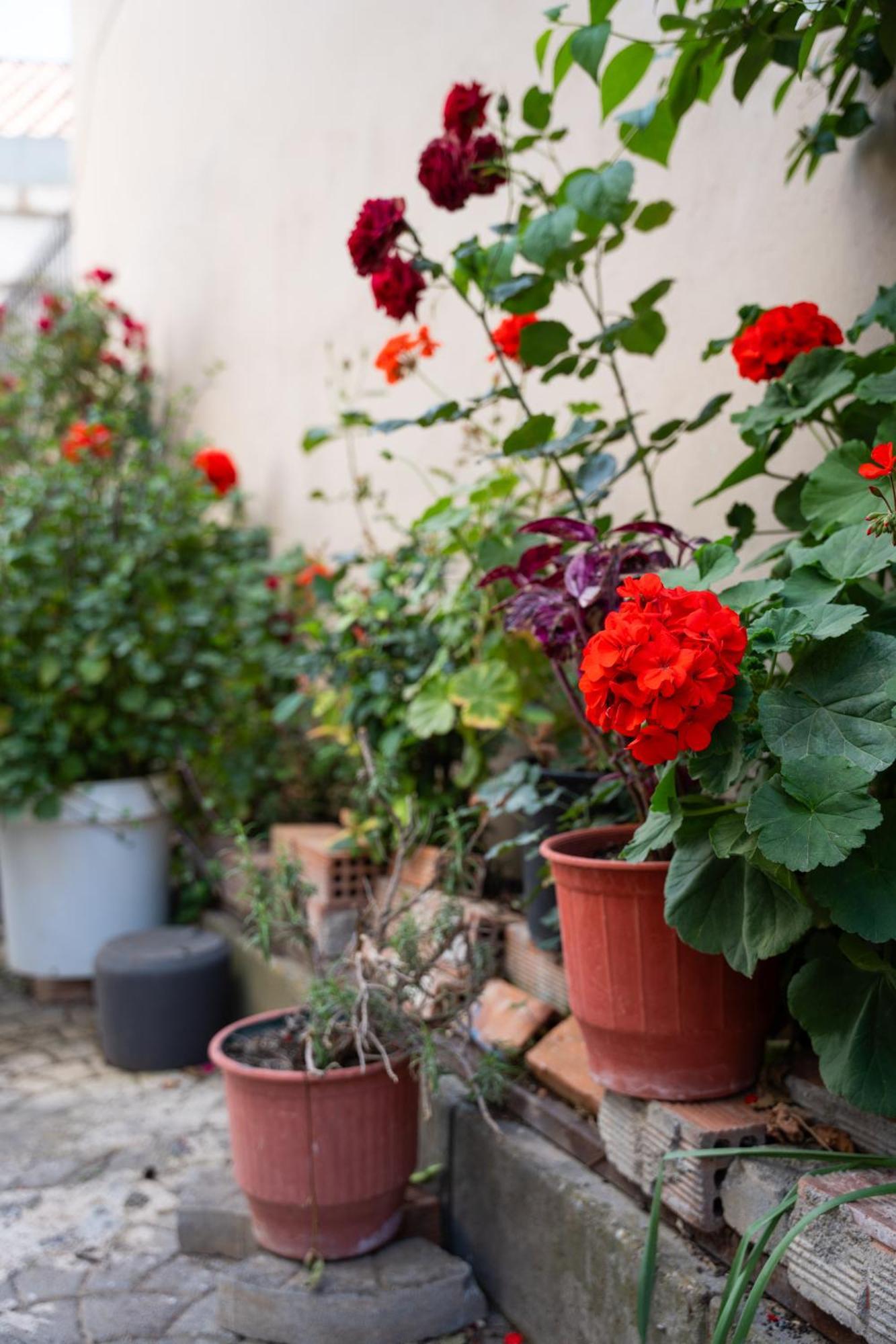 Nyx Guesthouse Tripoli Buitenkant foto